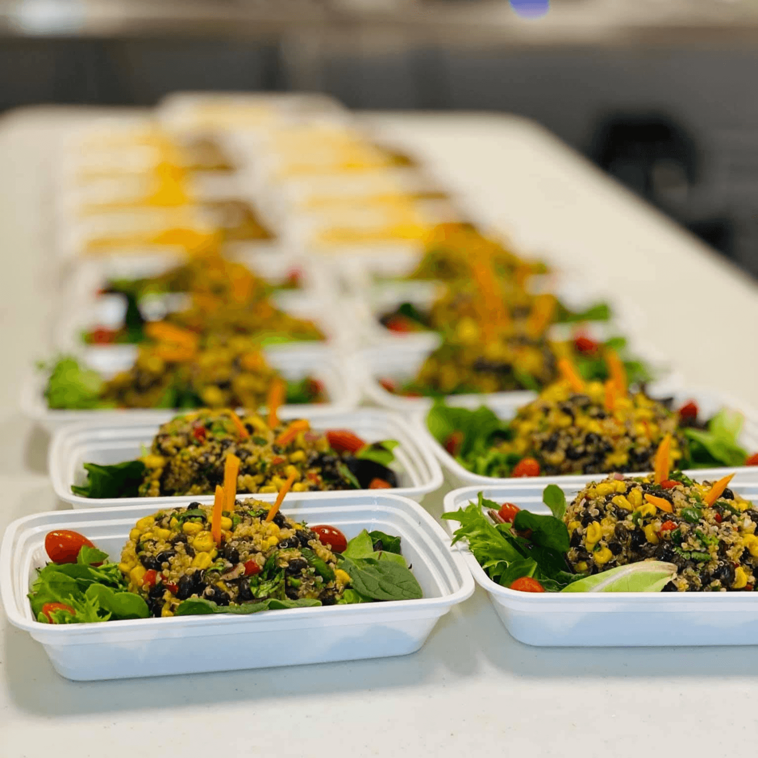 21 Day Meal Plan / 2 Meals a Day (42 Meals).