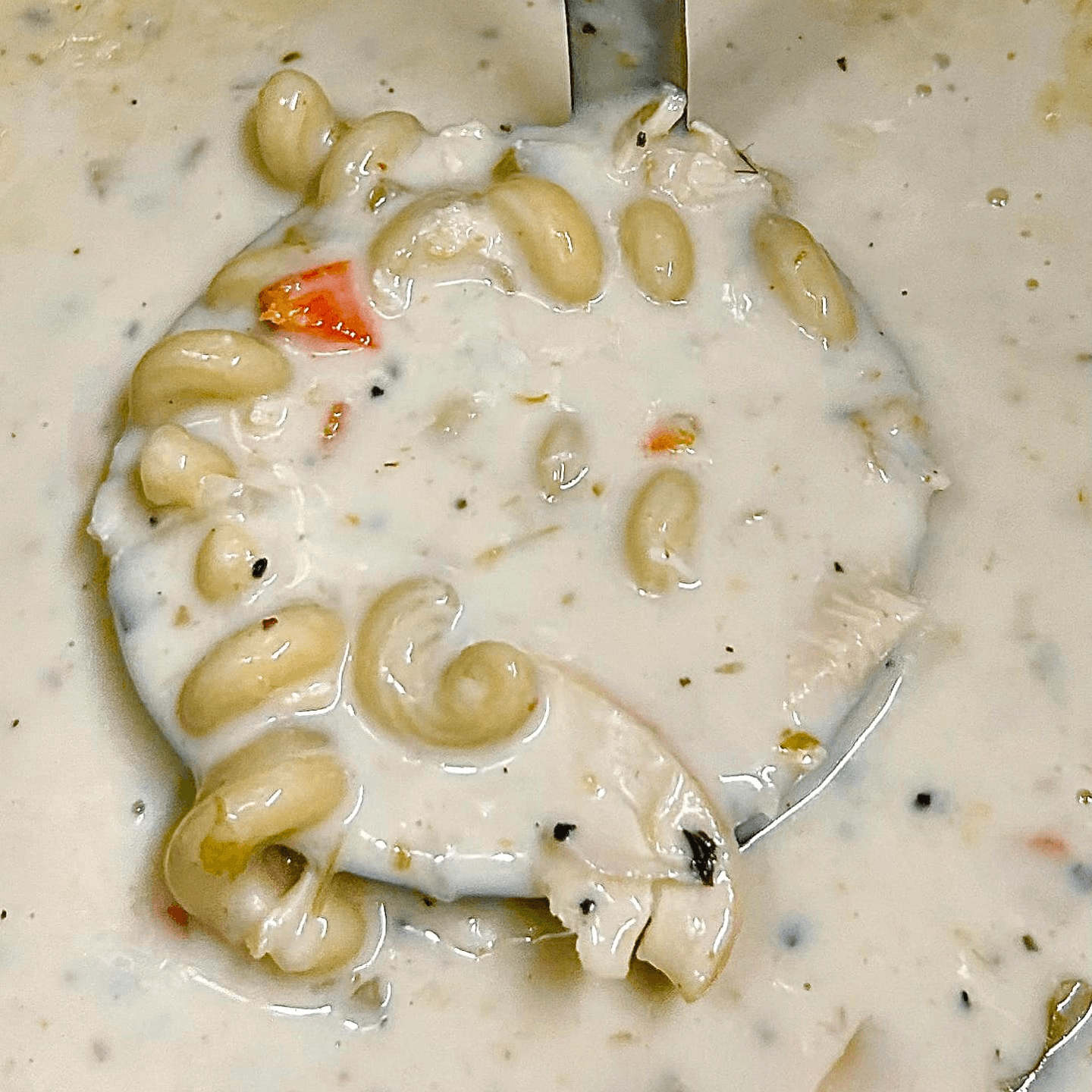 Scratch Made Soups