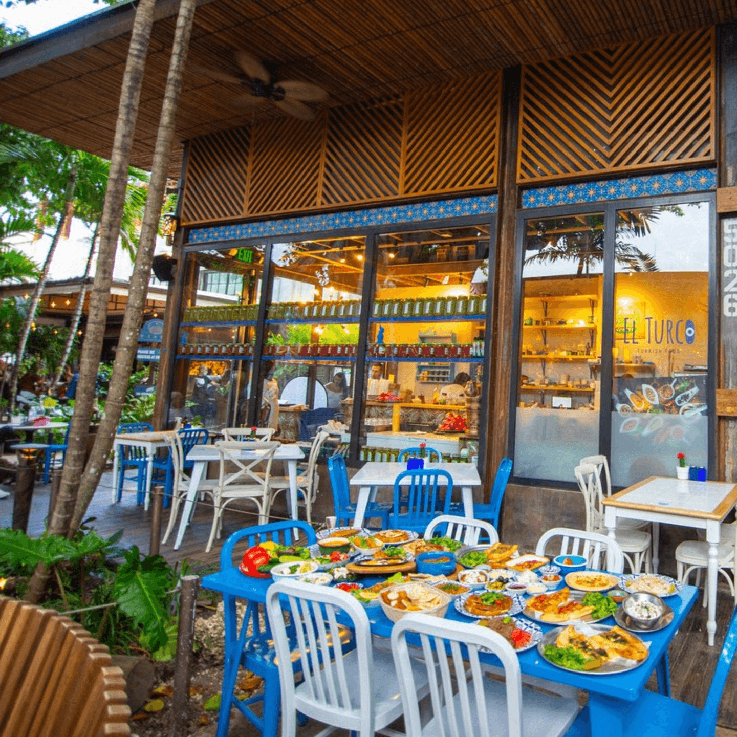 Discover El Turco in Buena Vista