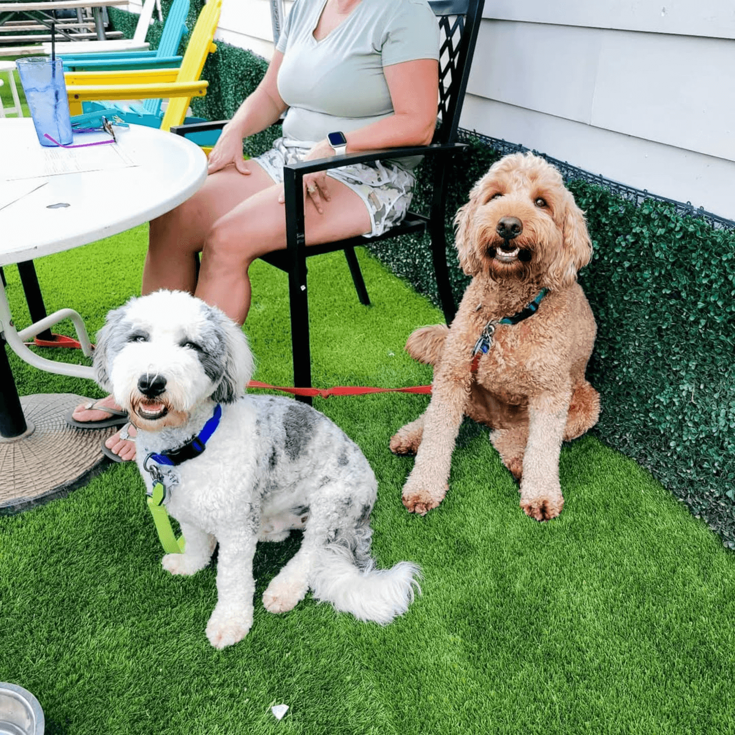  Yes, We’re Pet Friendly! 🐶