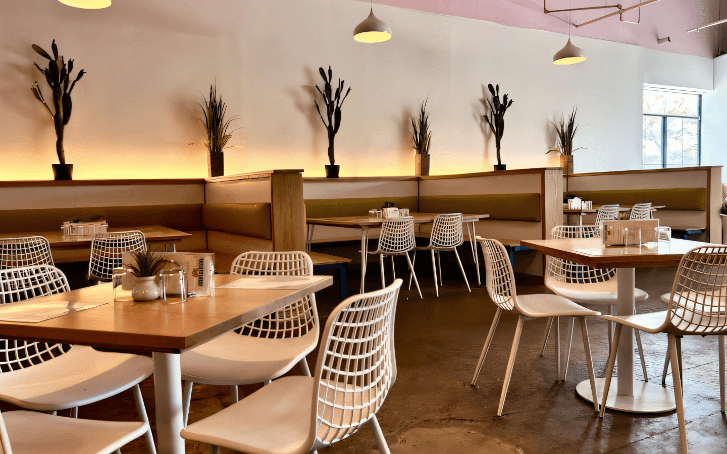 Taquito Lindo - Williamsville  Rewards