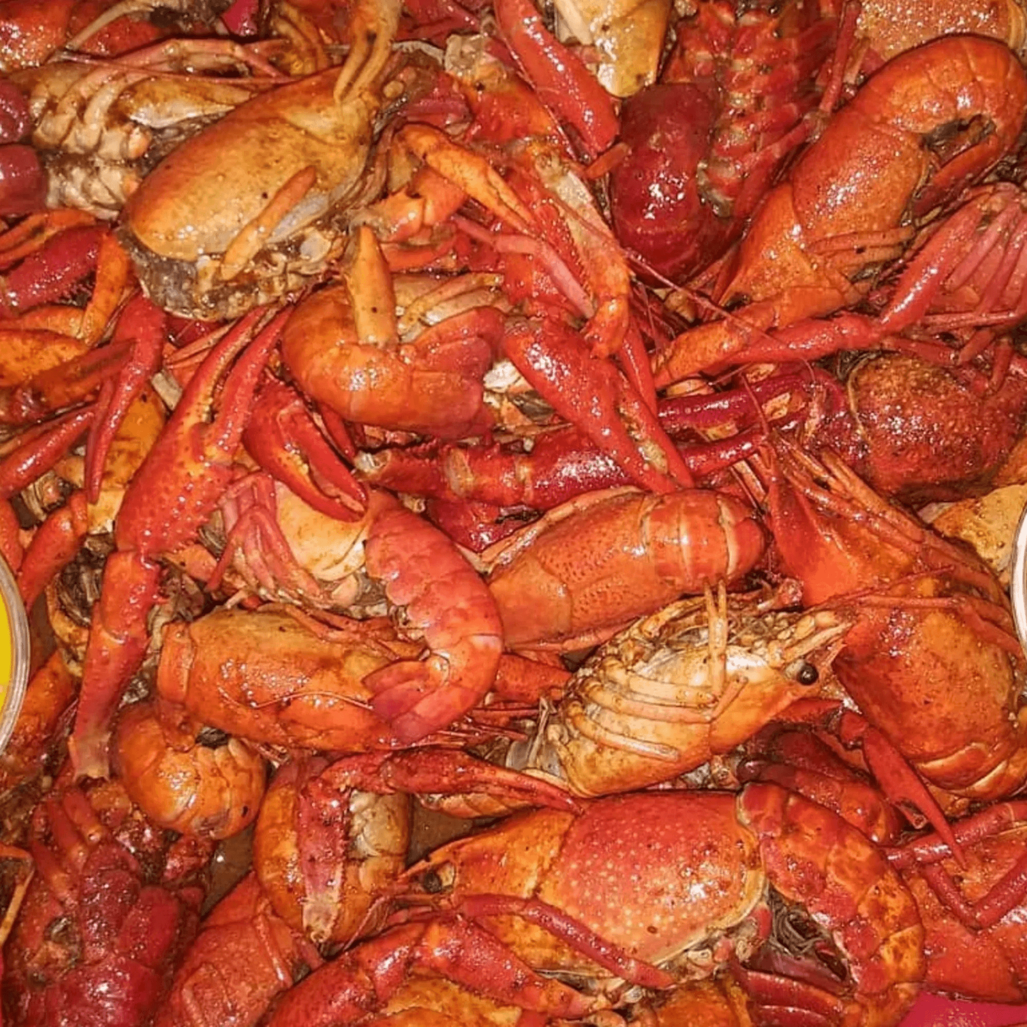 Lobster Haven gallery image #3