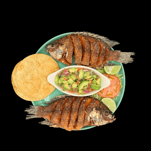 Tilapia Frita