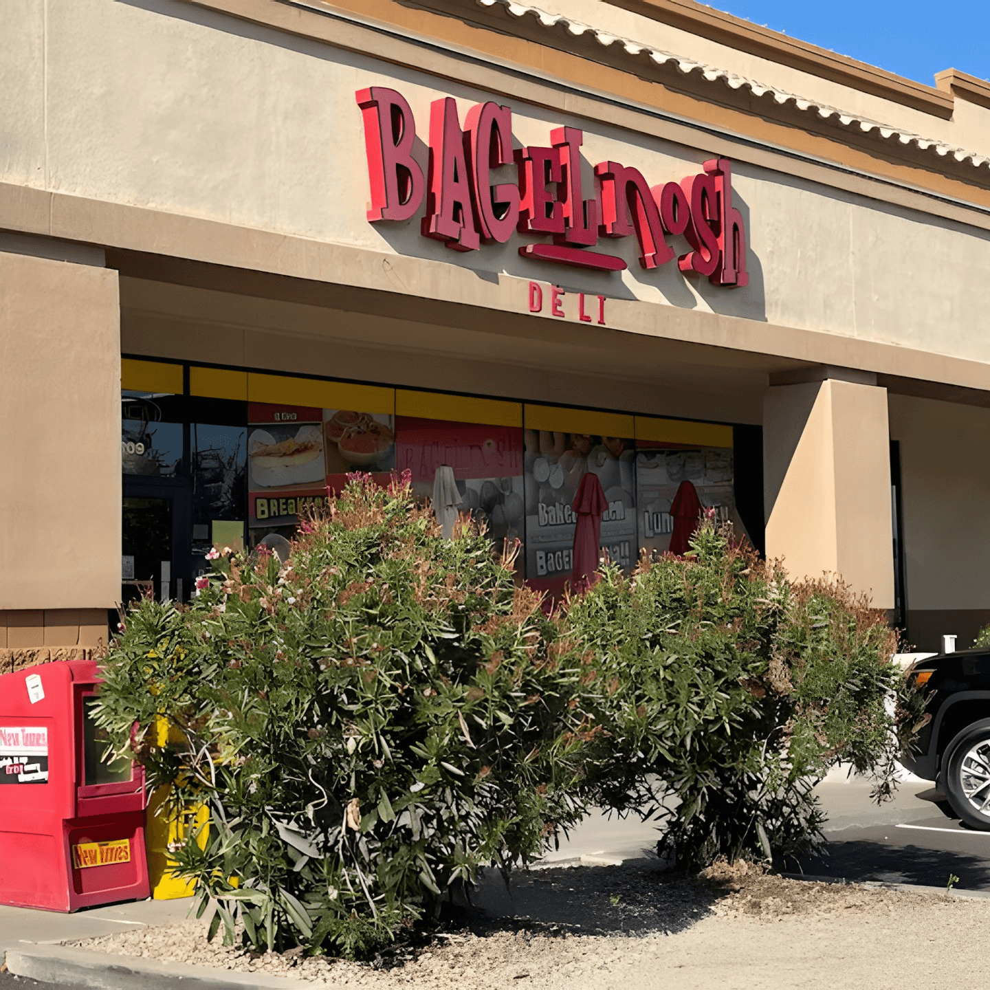 Welcome to Bagel Nosh – Gilbert’s Fresh Bagel Spot