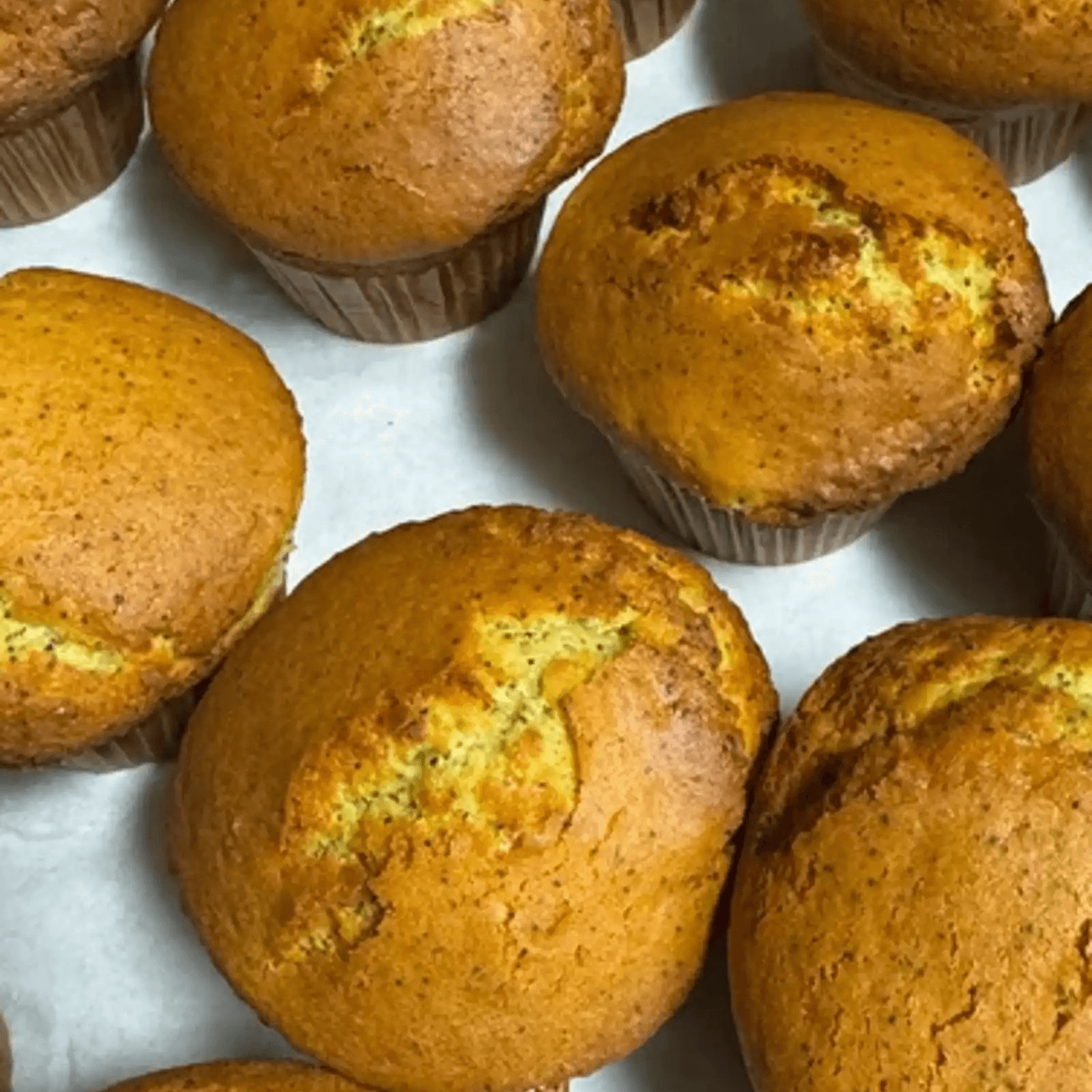 Homemade Poppy Seed Muffins