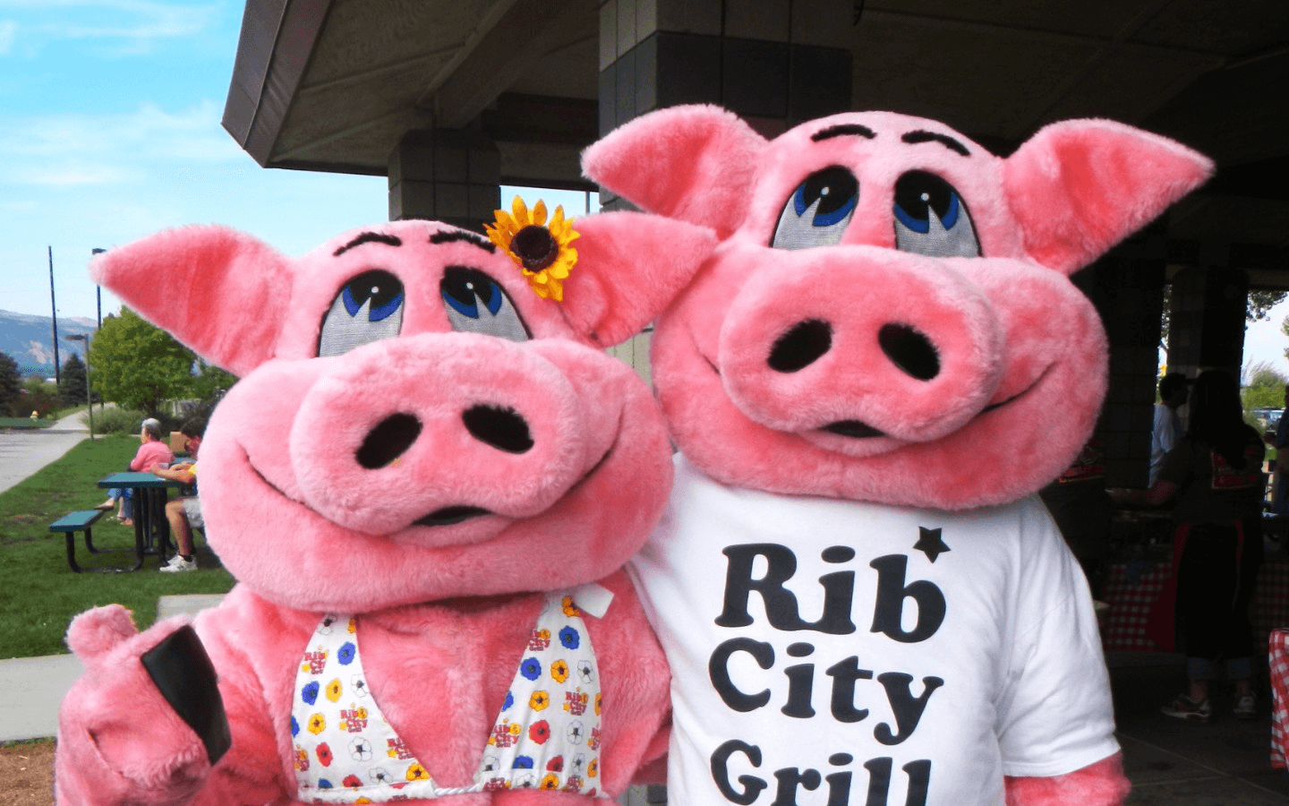 Get Rewarded for BBQ!