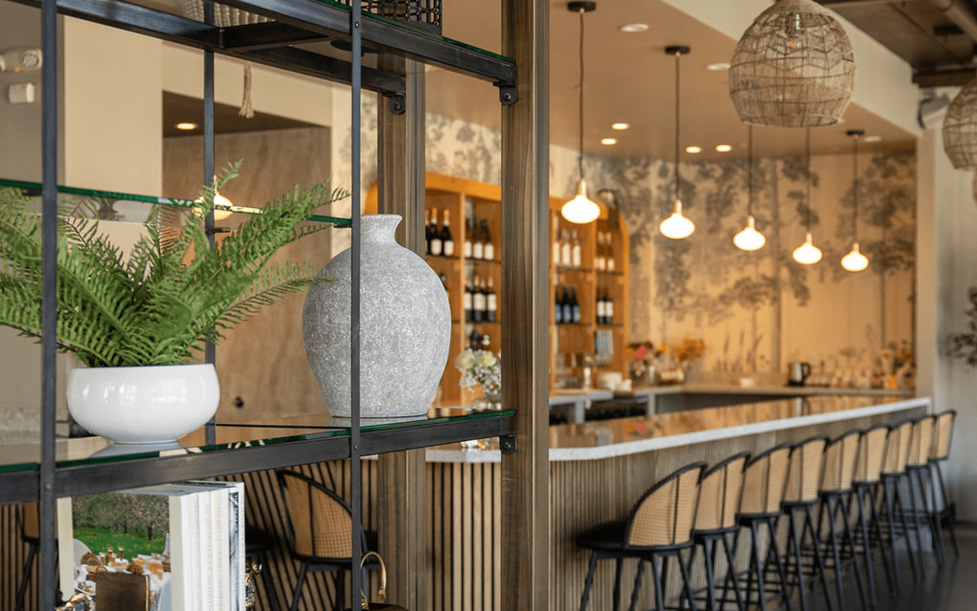 Noor Indian Fusion Kitchen | Best Indian food in Bay Area, CA | Indian food  near me