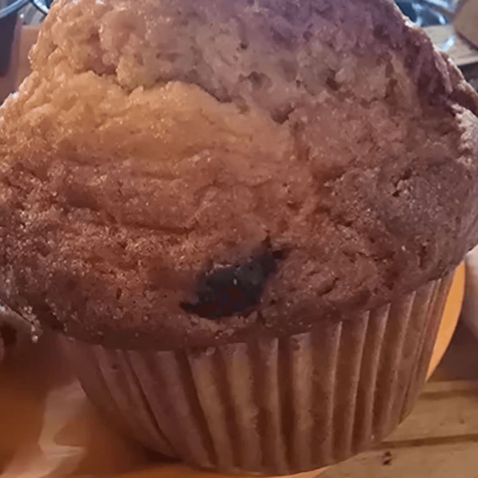 Pumpkin Chocolate Chip