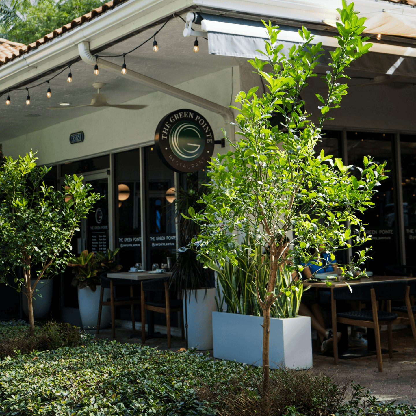 Welcome to The Green Pointe Restaurant