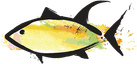 Yellowfinn Grill & Sushi Bar