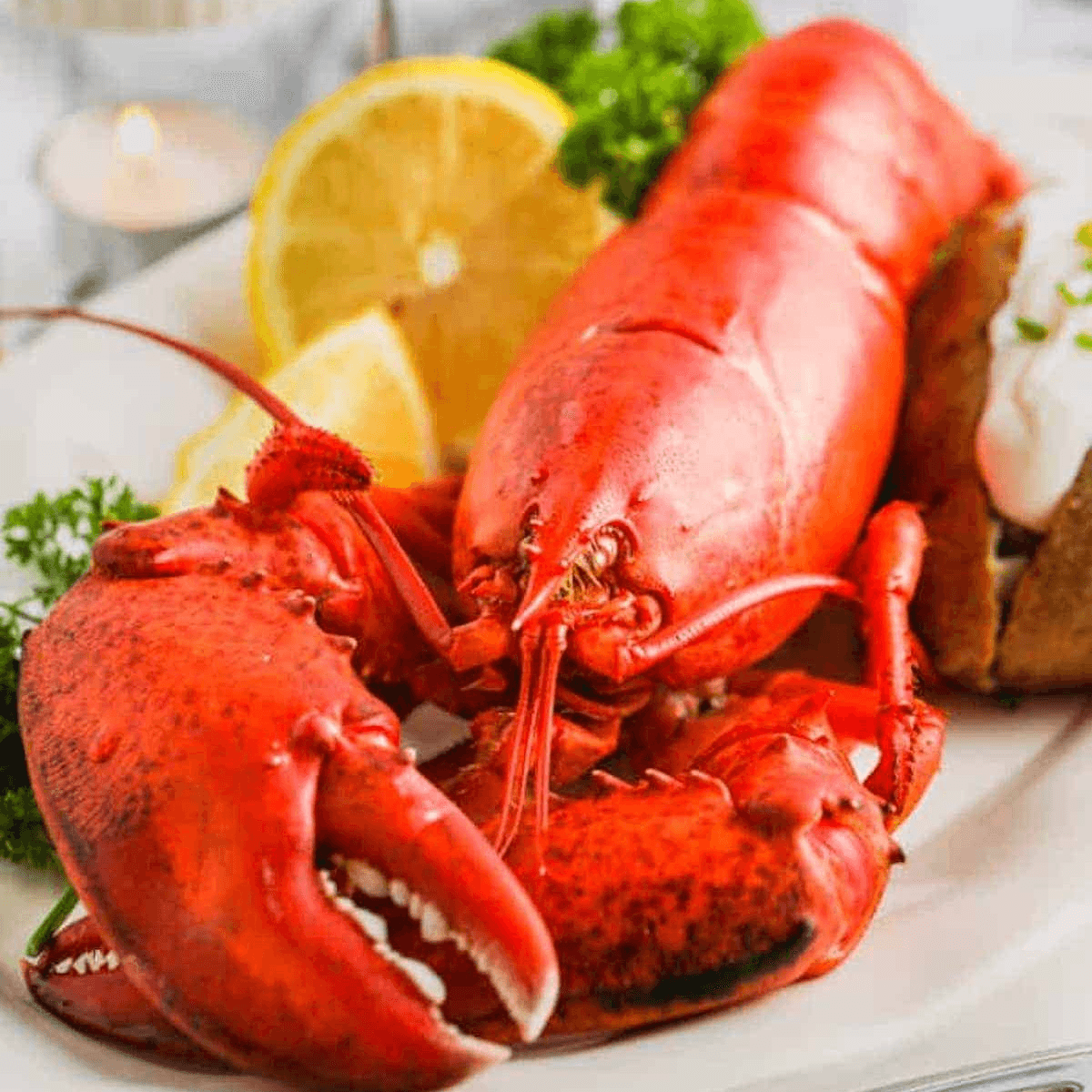 (1) Chix Cooked Lobster Ala Carte.