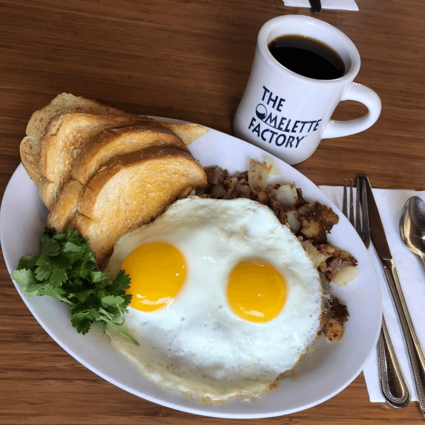 What Makes Us Special?