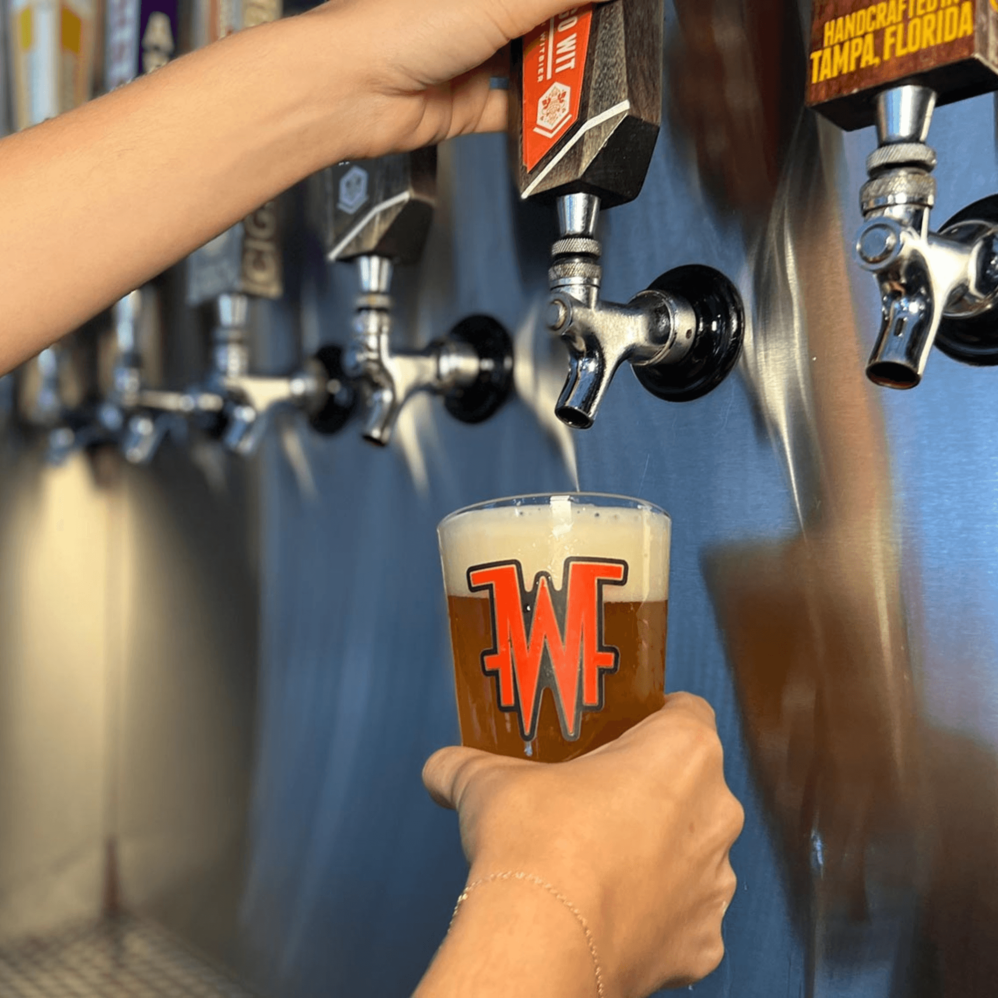 Florida Wing Factory gallery image #3