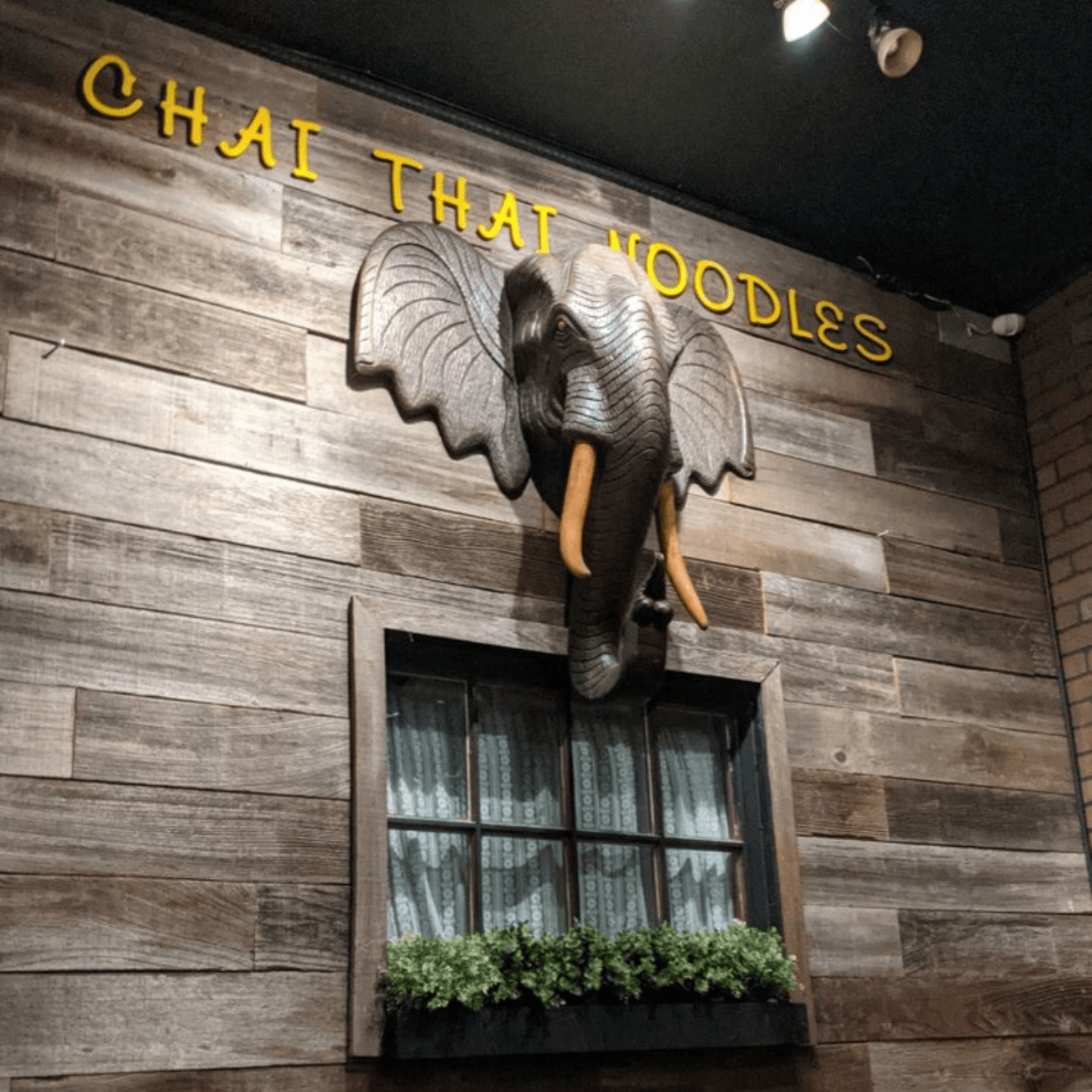 Welcome to Chai Thai Noodles 🌶️