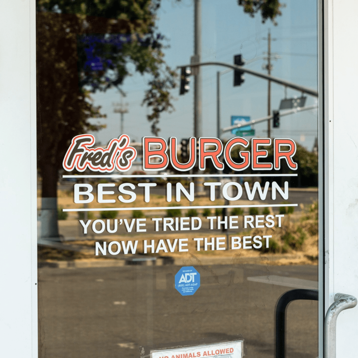 What Makes Us Different