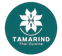 Tamarind Thai Cuisine