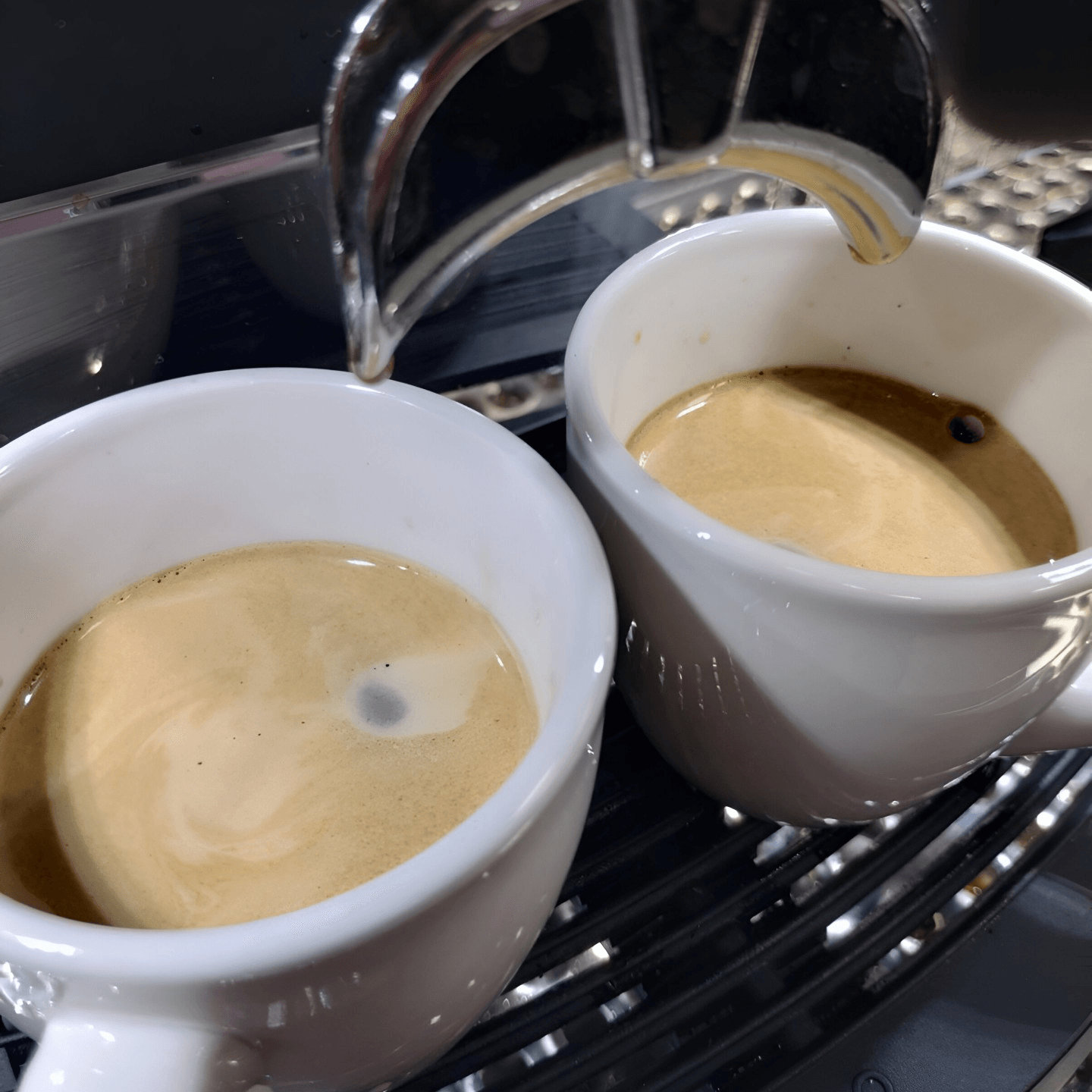 A Passion for the Perfect Cup ☕