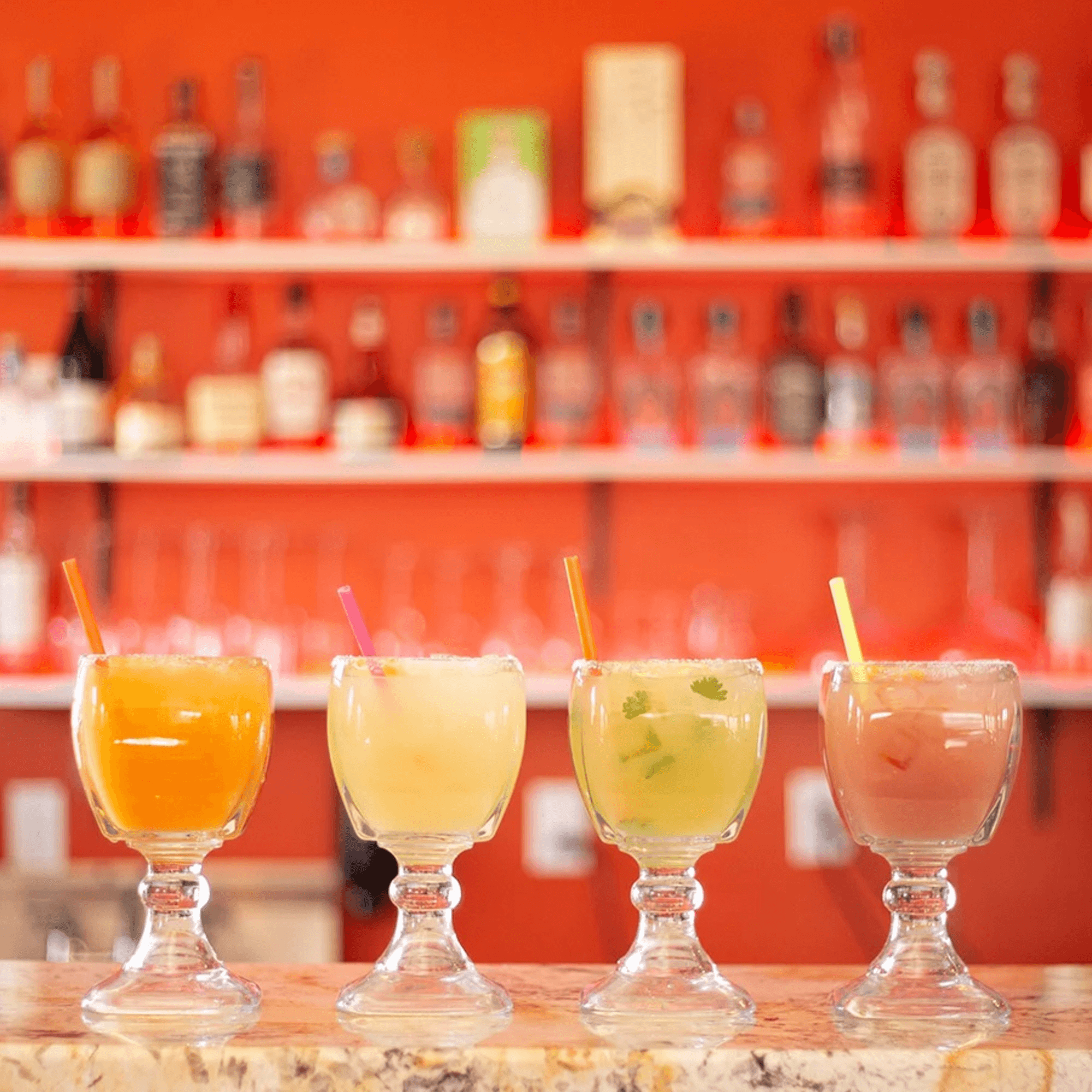 El Gato Negro gallery image #6