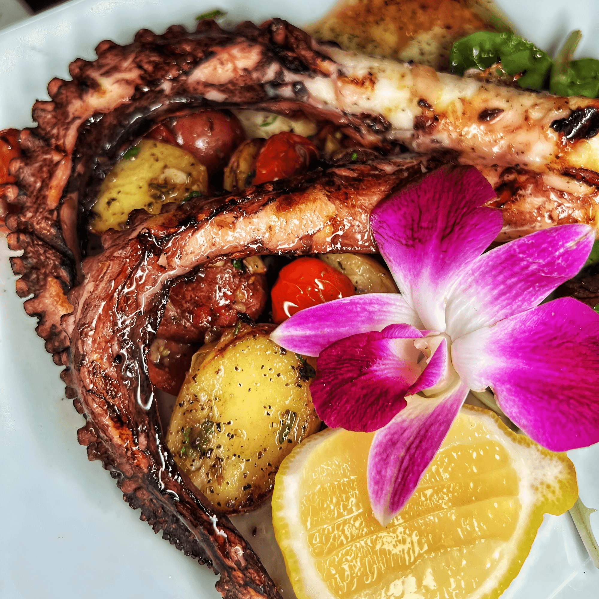 Sangria Cafe gallery image #8