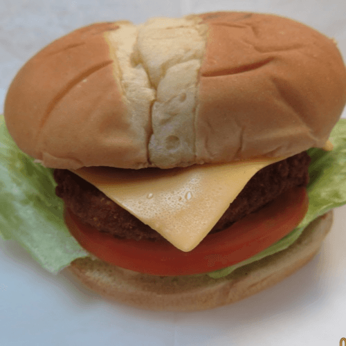 Honey Chicken Sandwich / Fries.