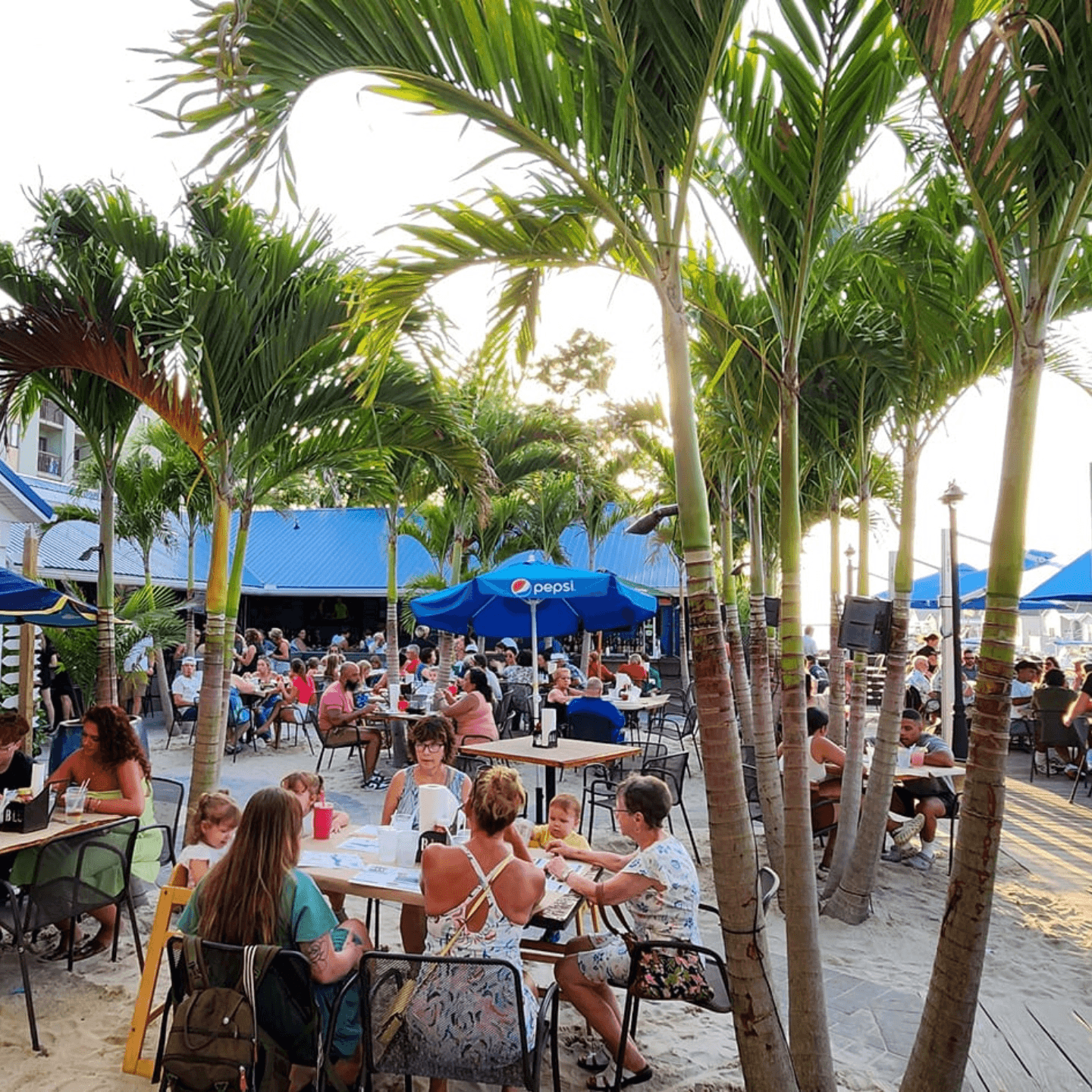 Dine Your Way 