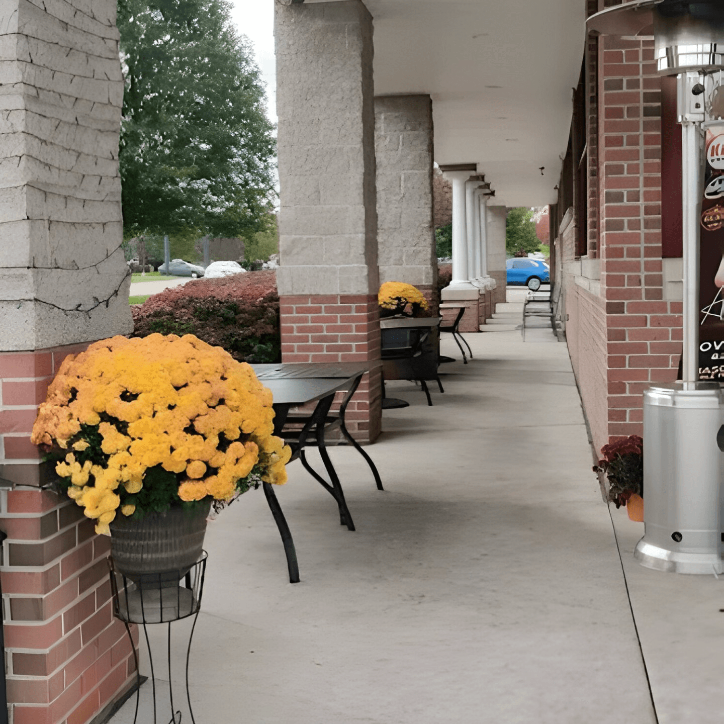 A Dine-In Experience Filled with Warmth and Flavor