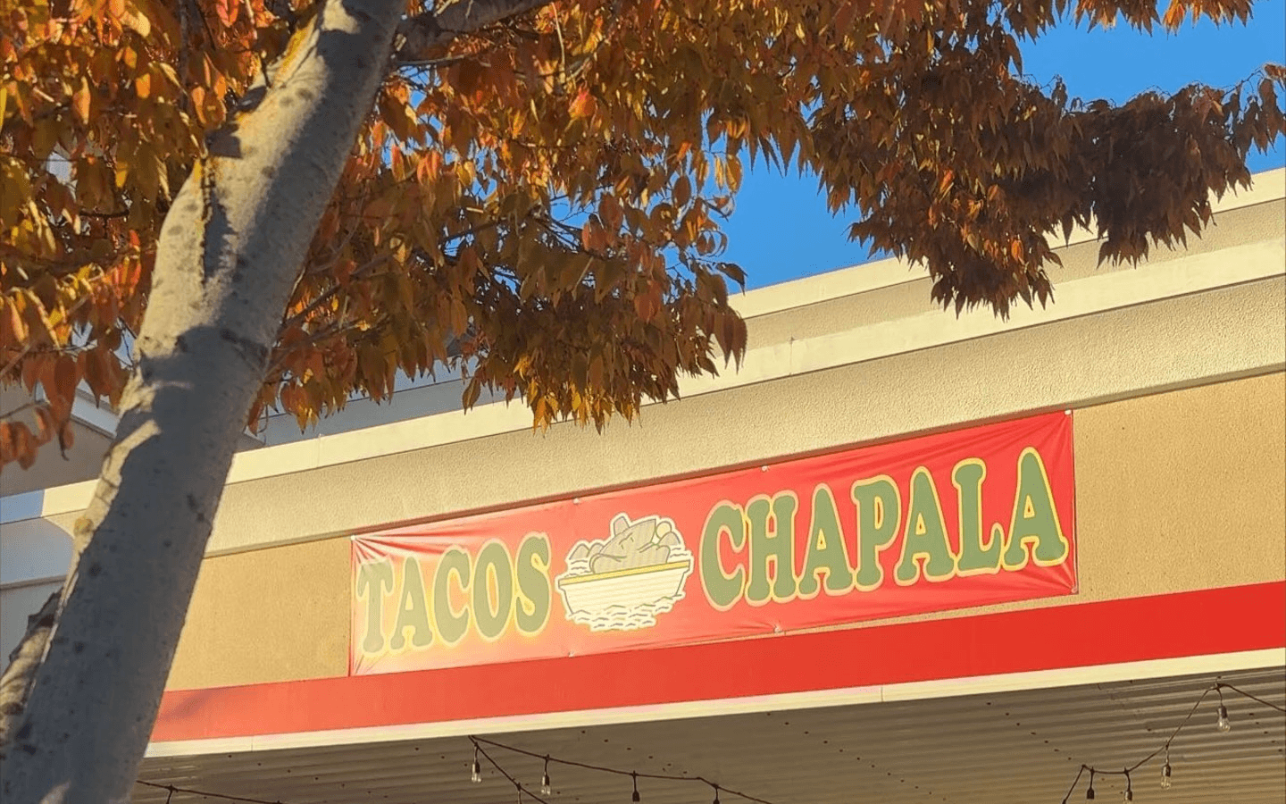 Inspired by Family Traditions