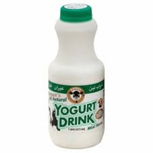 Mint Ayran (Yogurt Drink)