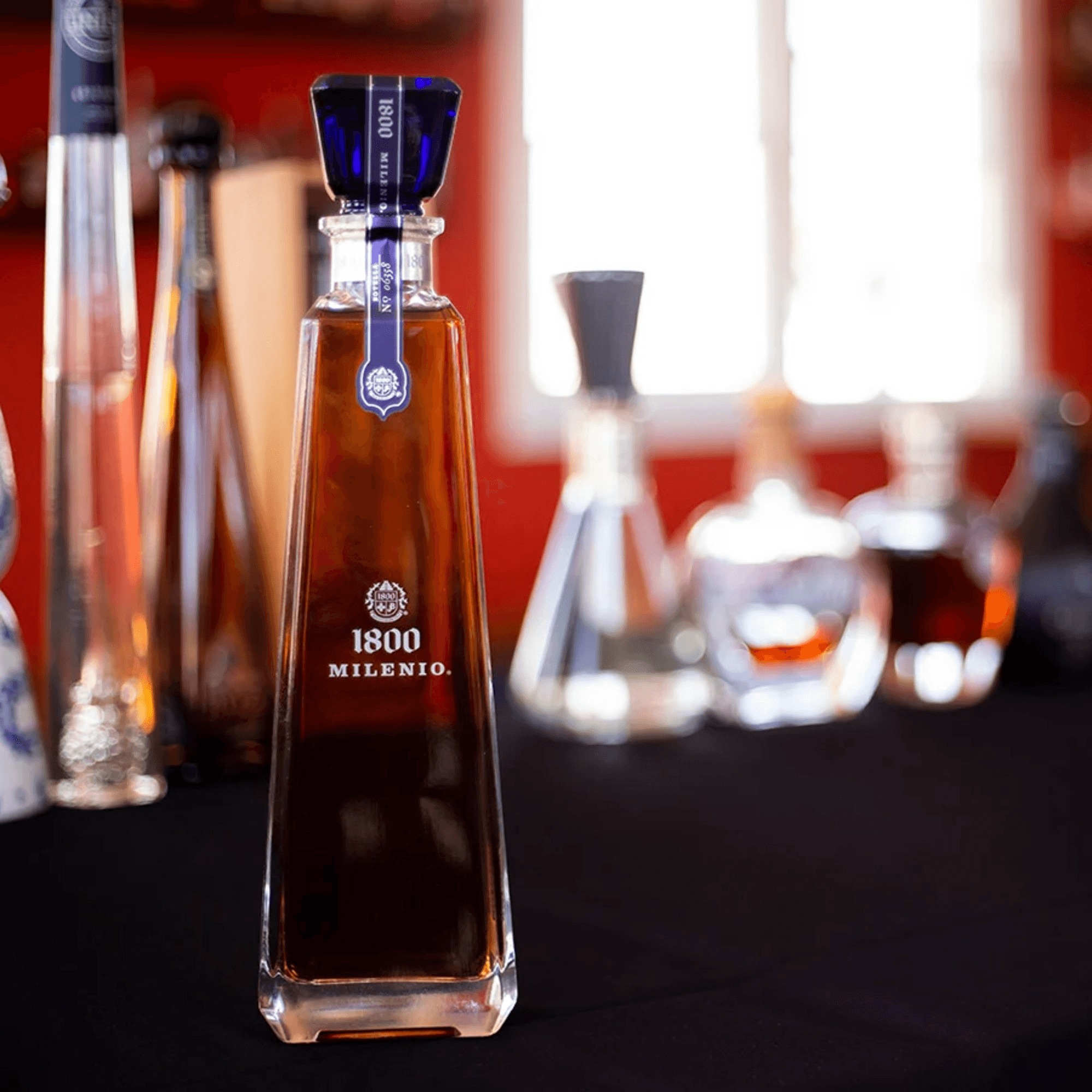 El Gato Negro gallery image #3