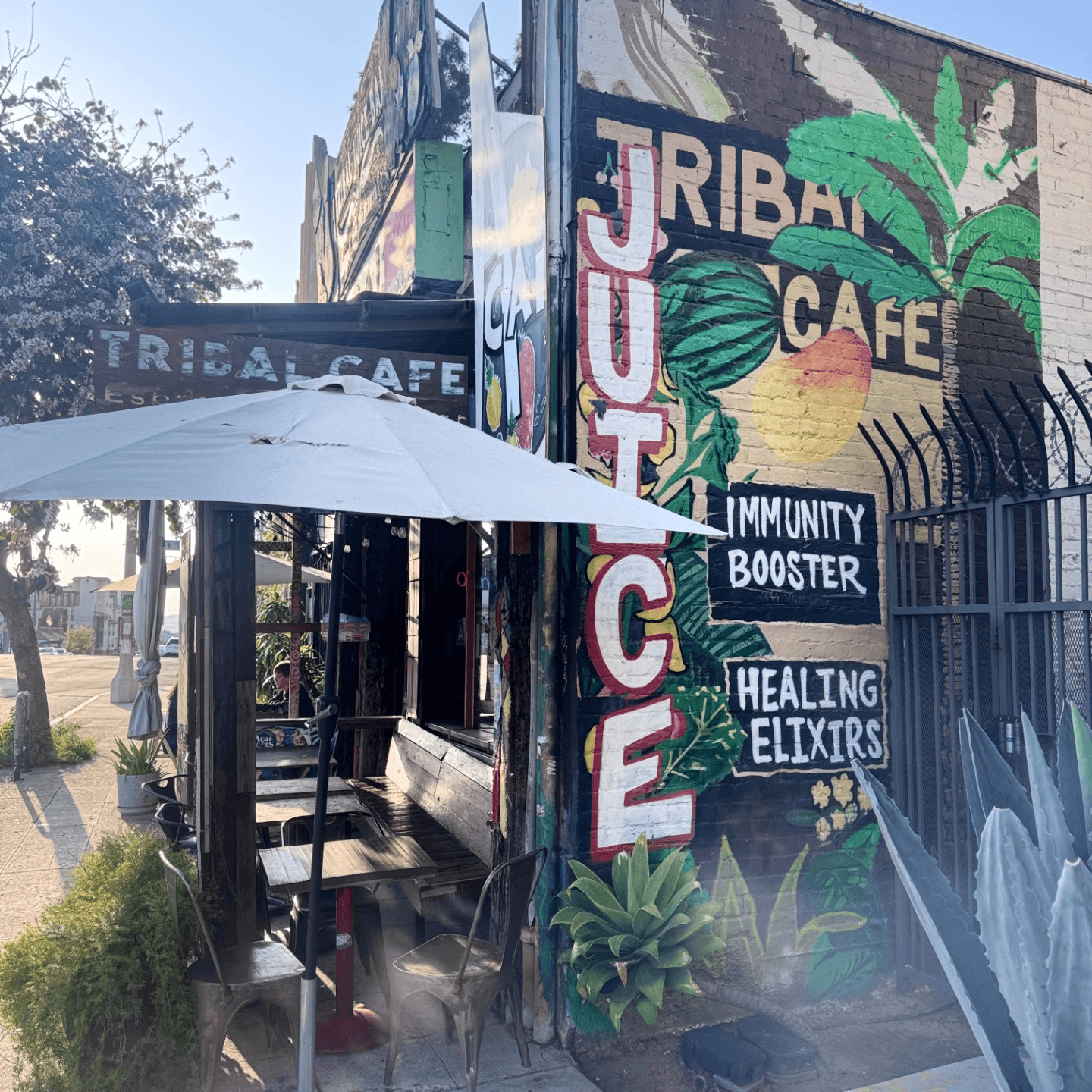 Welcome to Tribal Cafe 🌿