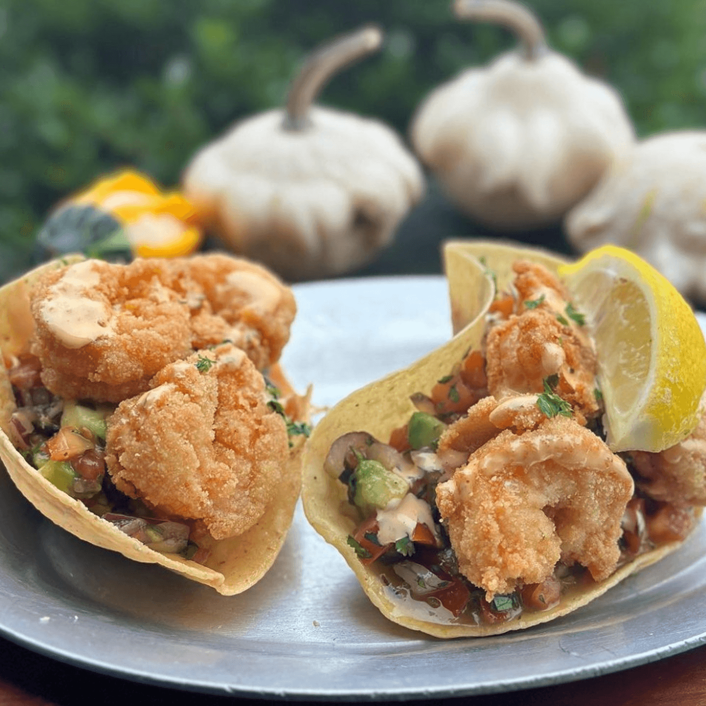 Nautical Eats: Shore Fresh Cuisine!