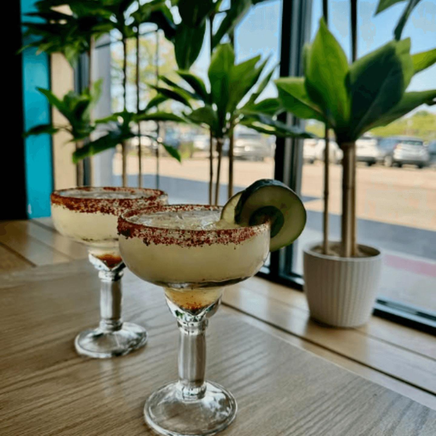 Why Taquito Lindo Stands Out