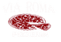 Via Roma Pizza