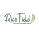Rice Fields