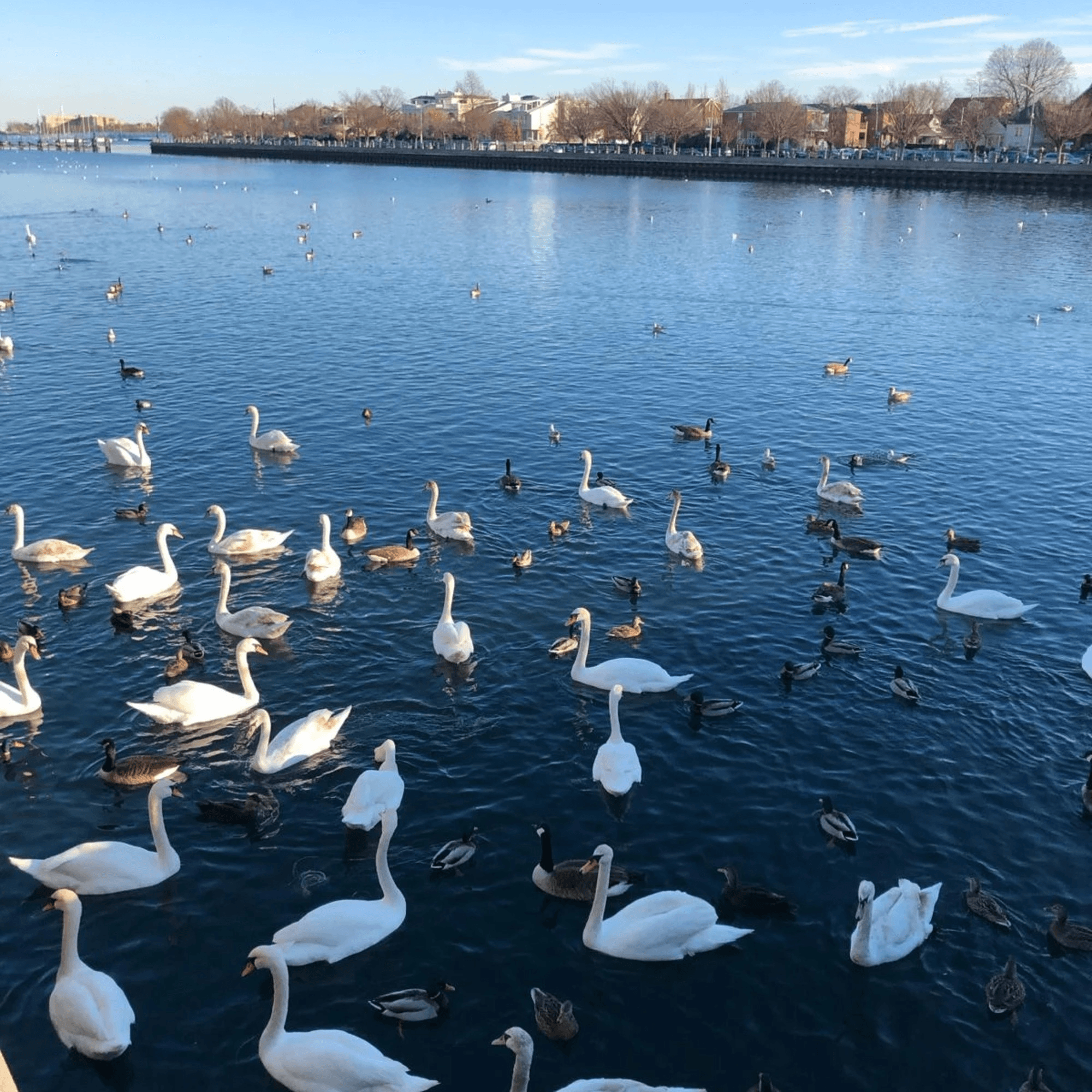 The Bay Café gallery image #2