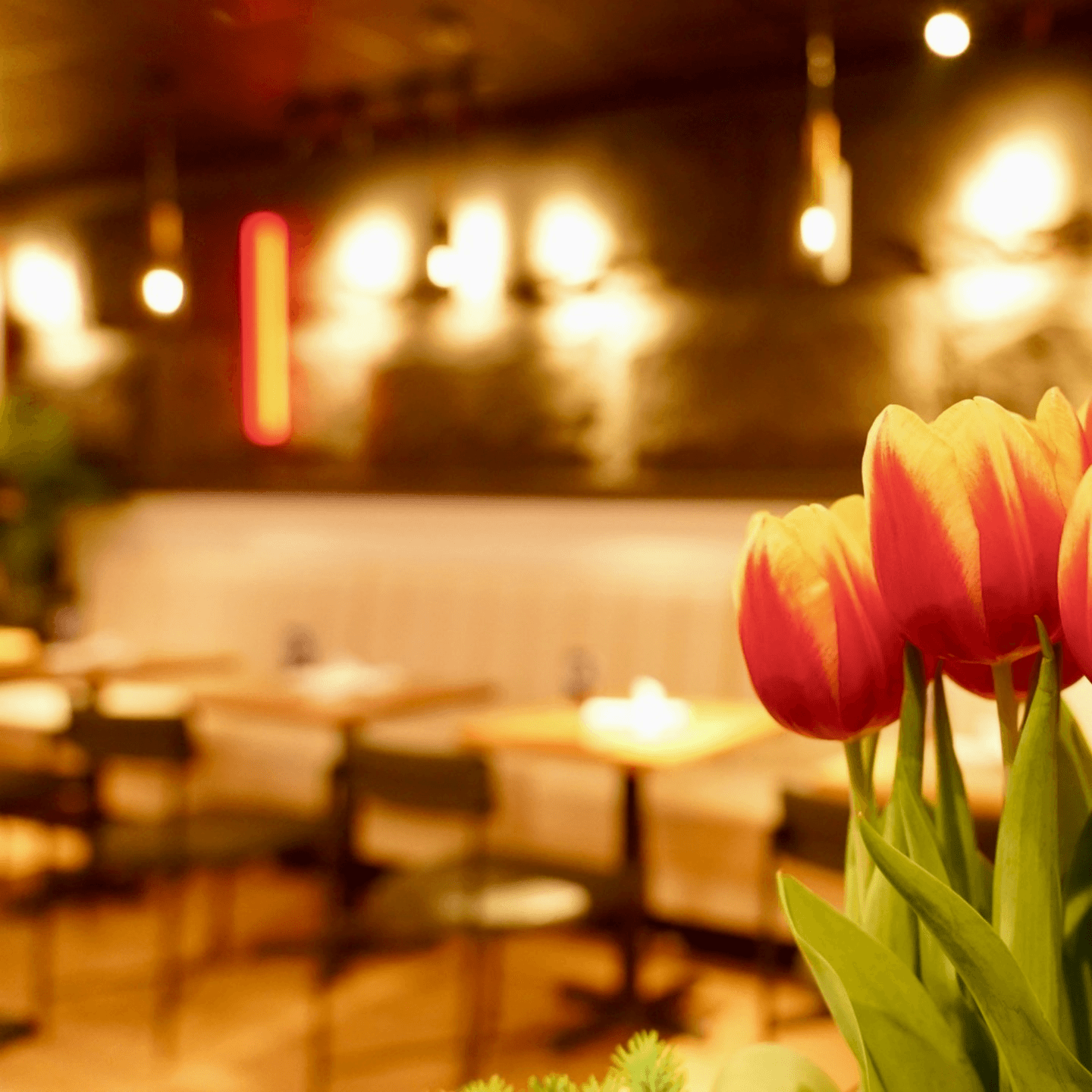 Dine-In Delight