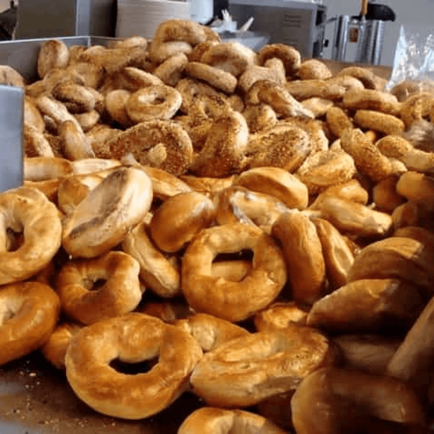 Eltana Best bagels in Seattle, WA