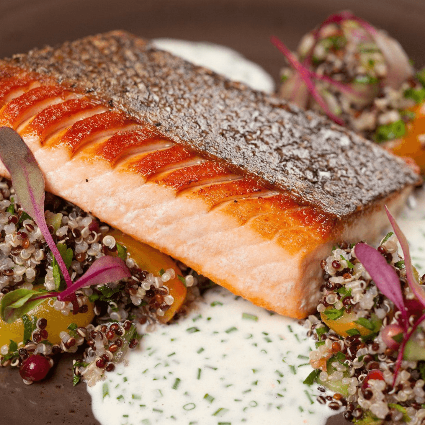 An Elevated Dining Experience