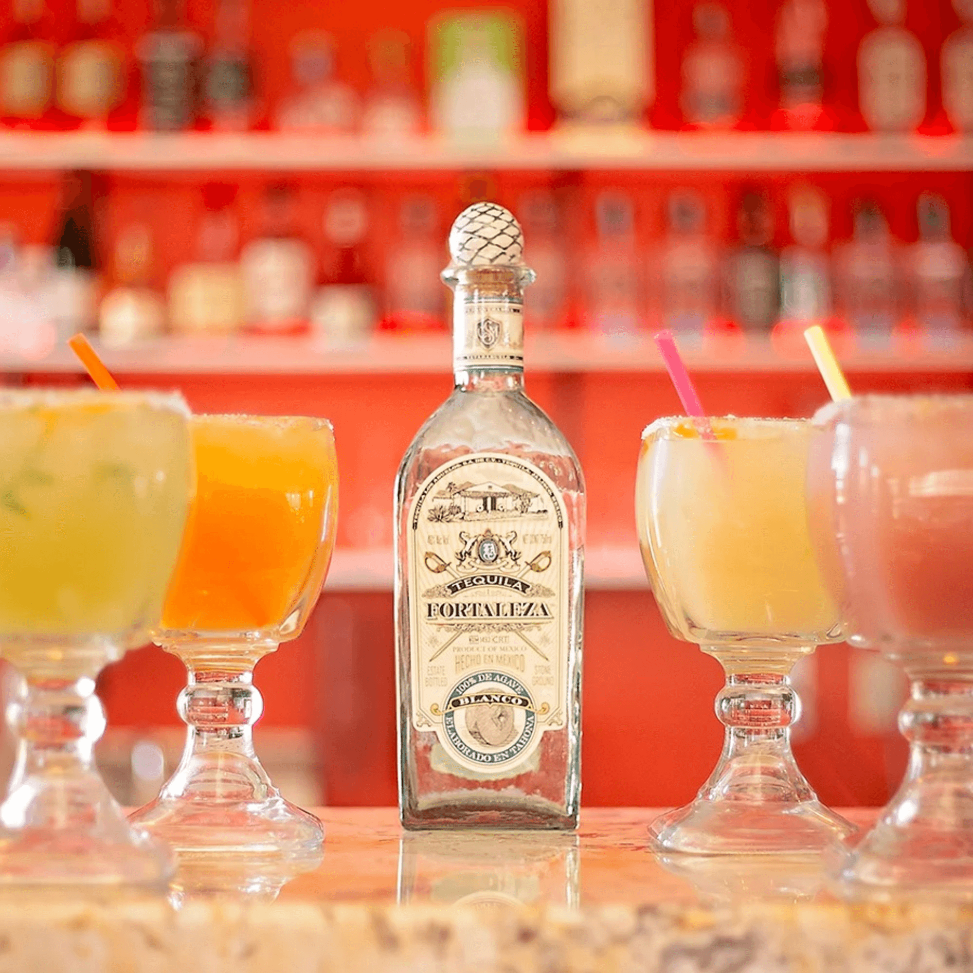 El Gato Negro gallery image #1