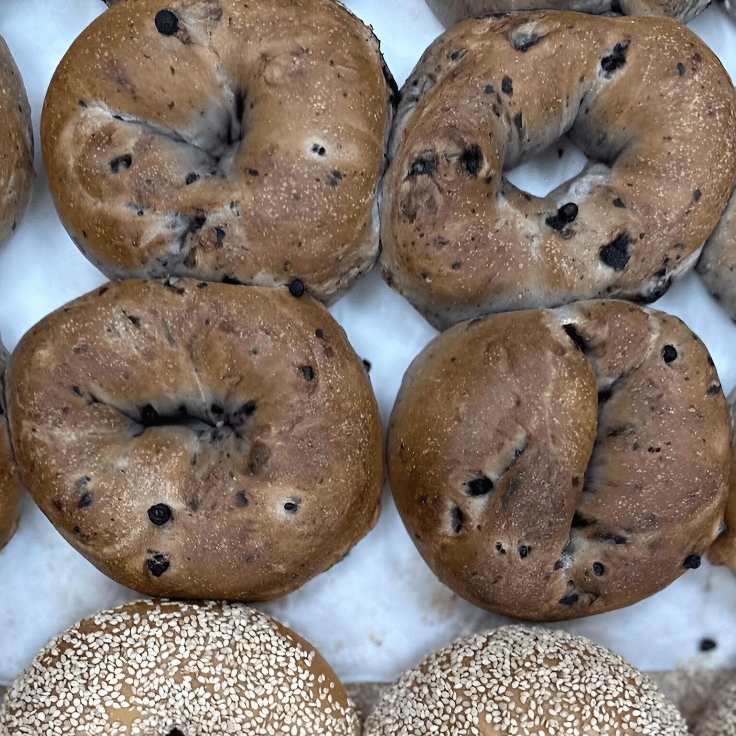 Fresh Bagels & Pastries
