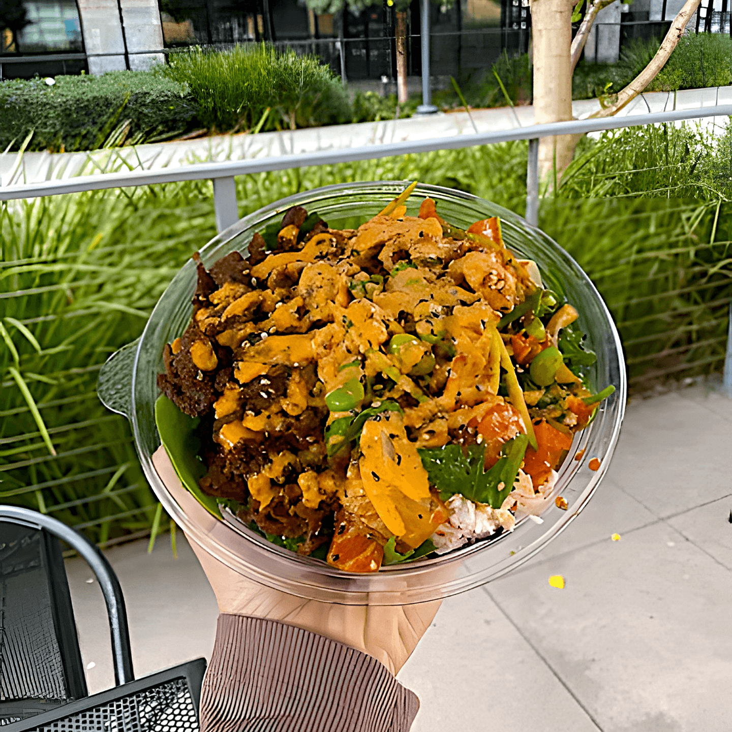 What "Poké" Means to Us