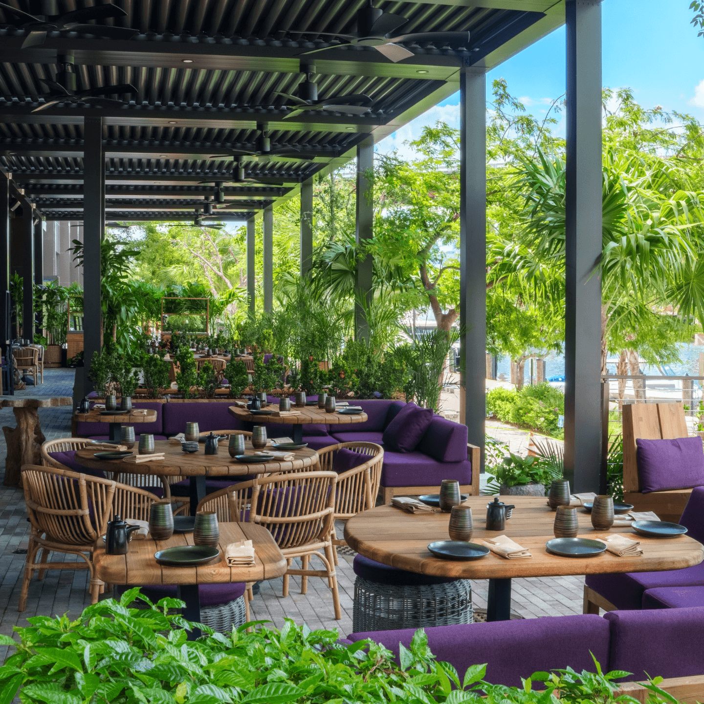 Reserve Your Table Today 