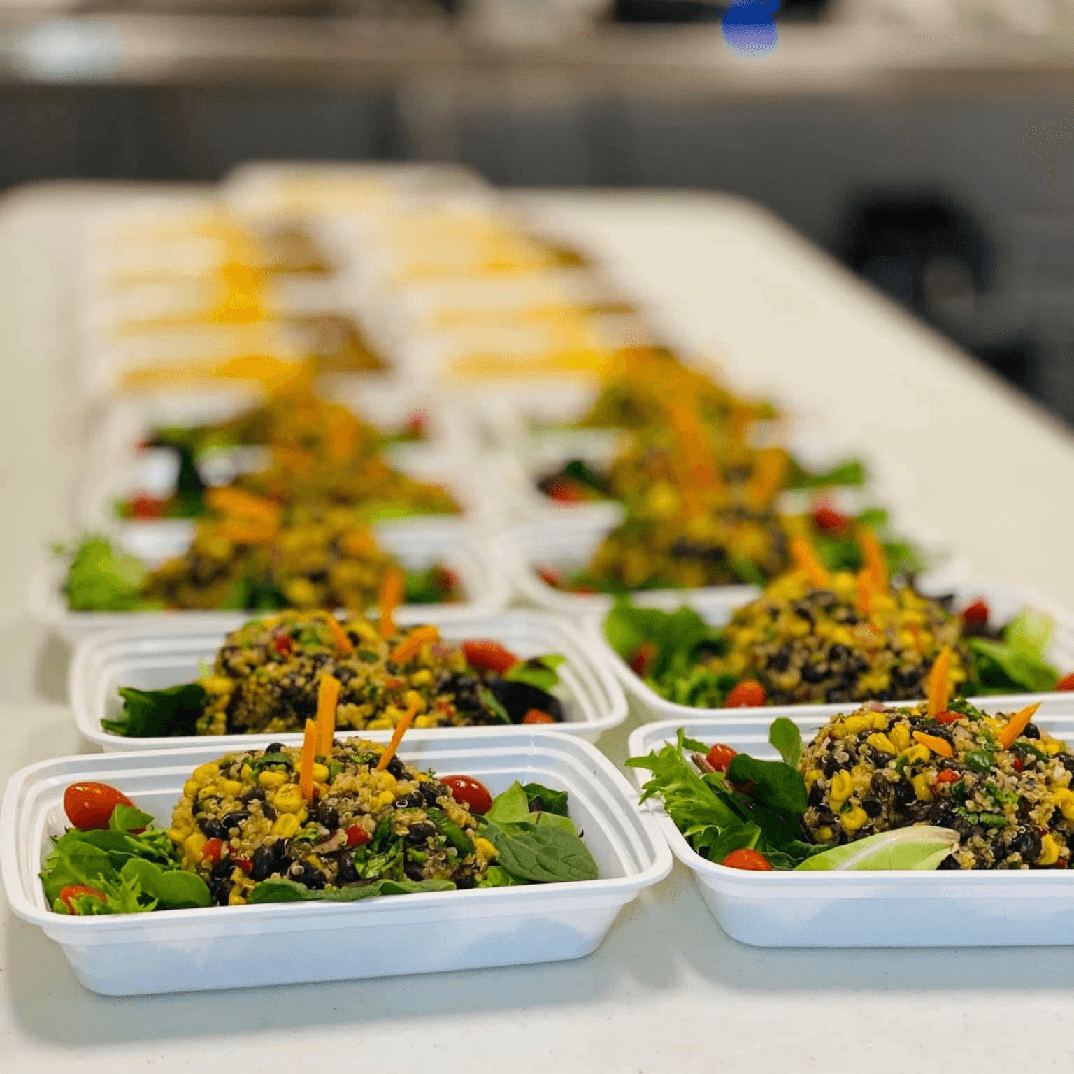 14 Day Meal Plan / 3 Meals a Day (42 Meals).