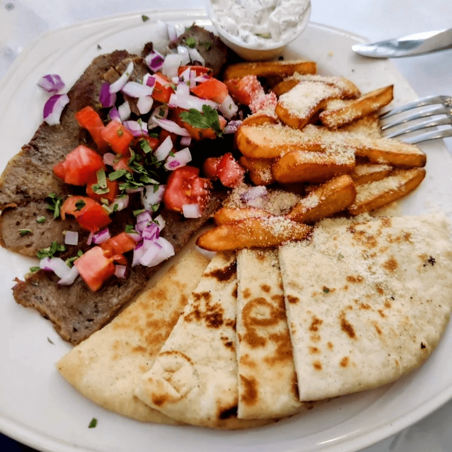 Gyro Plater.