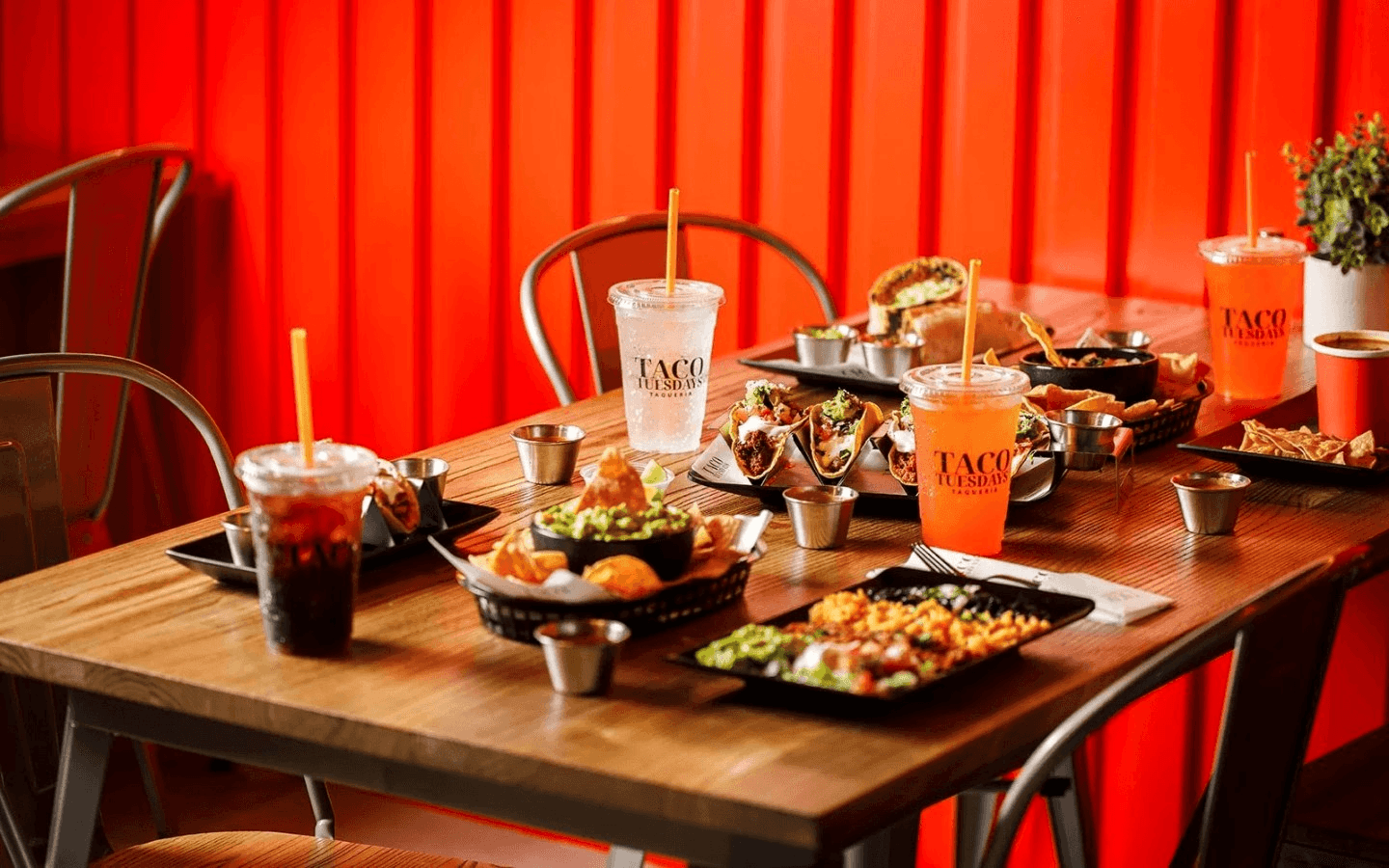 Catering Flavor, Fun, and Fresh Tacos