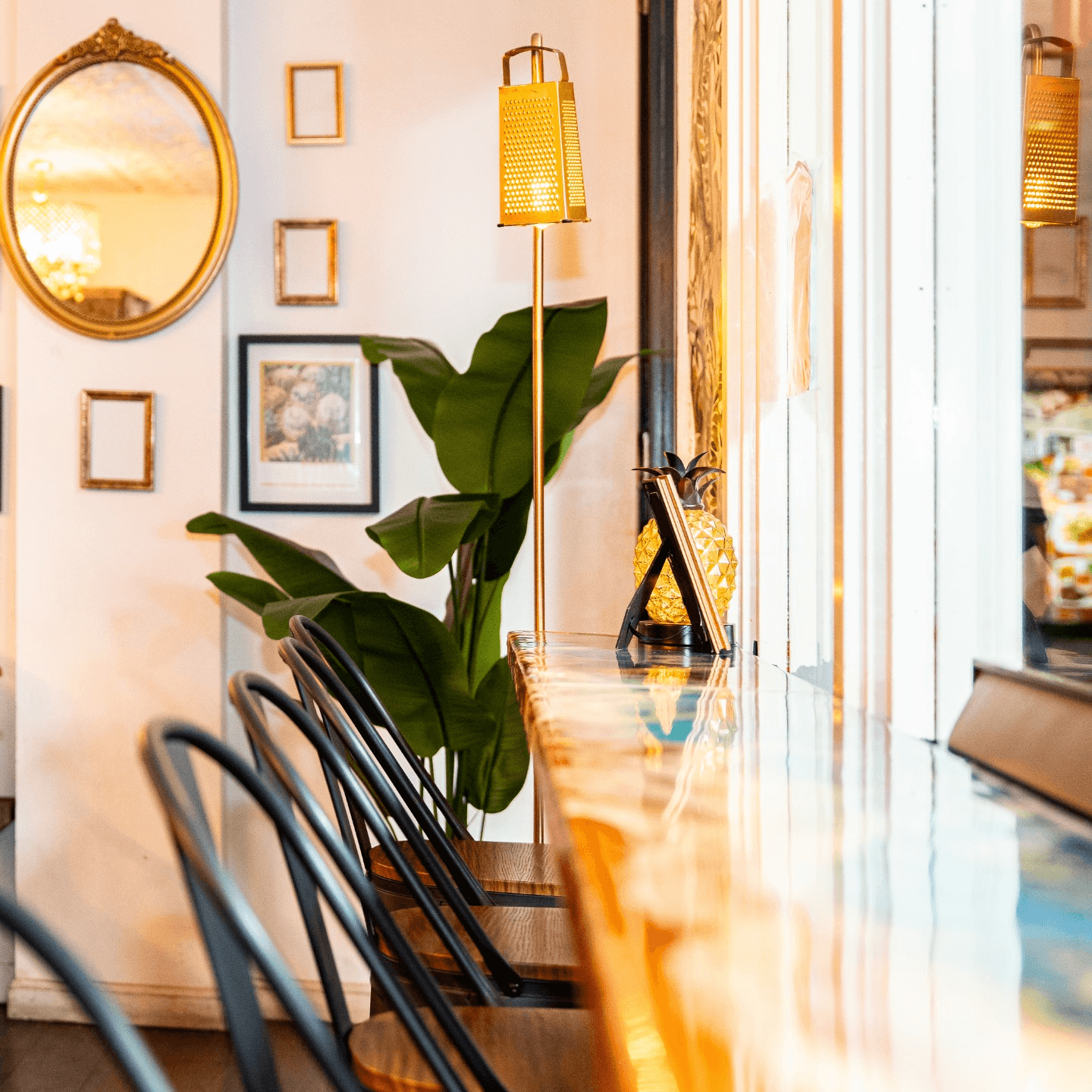 What Makes Us Special