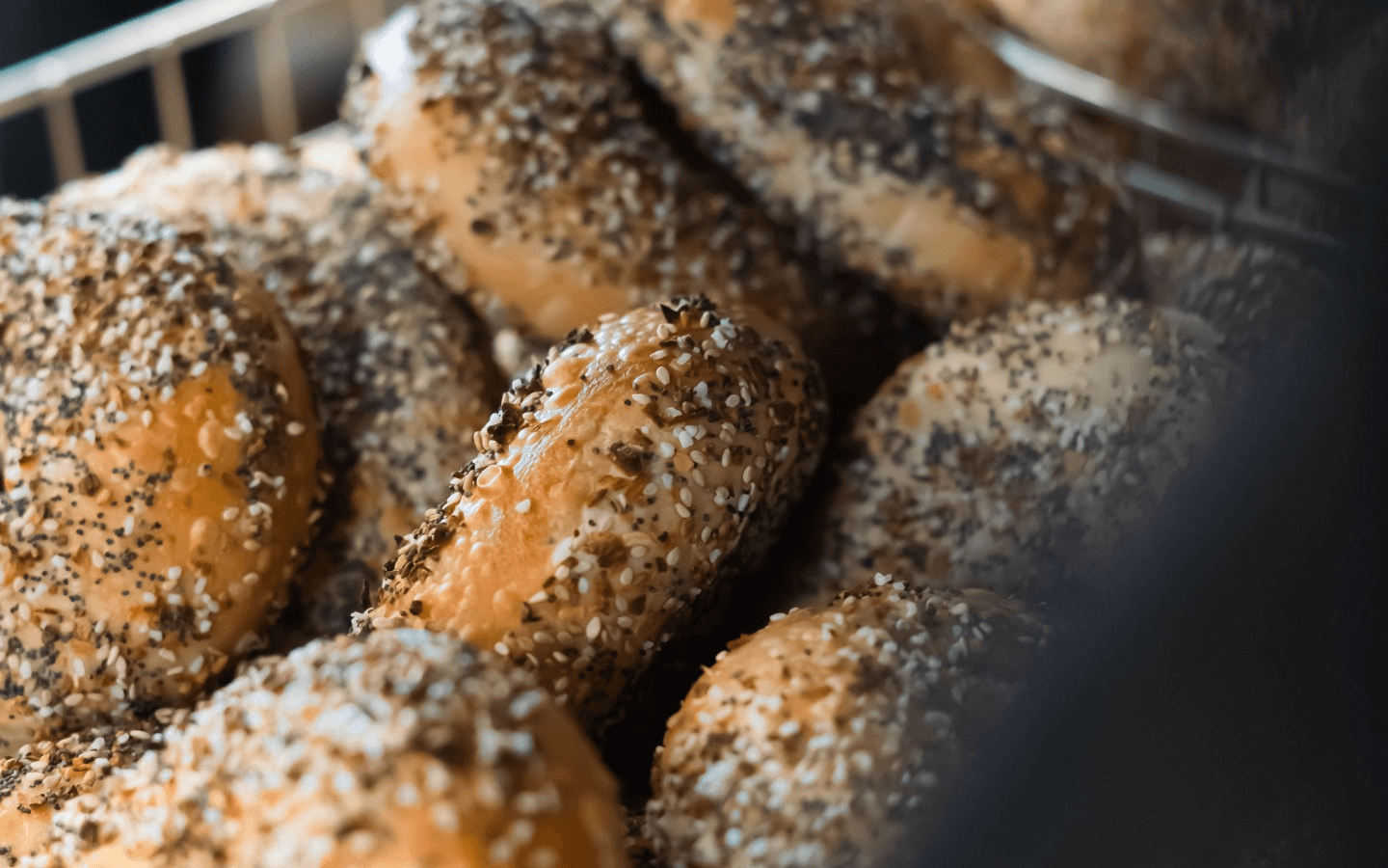 Welcome to Manhattan Bagel