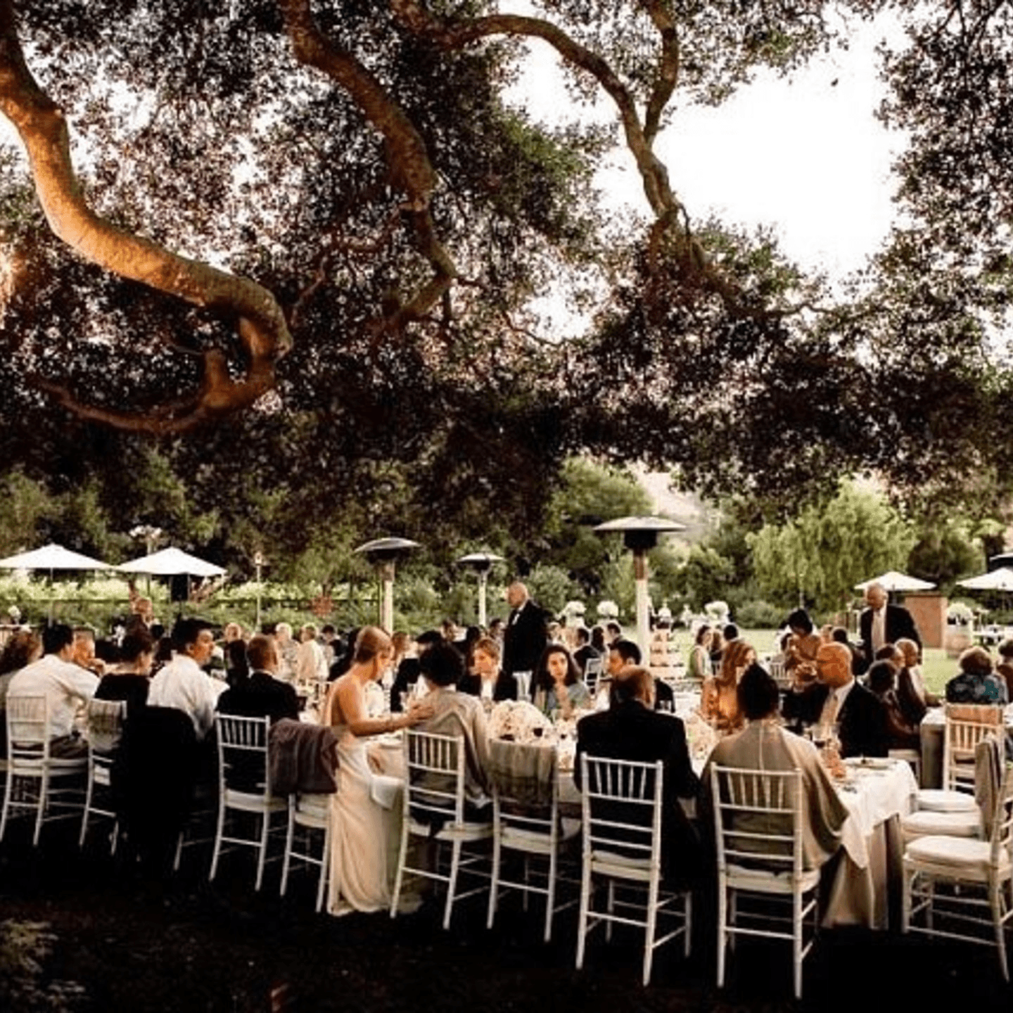 Book Your Private Party With Us Today!