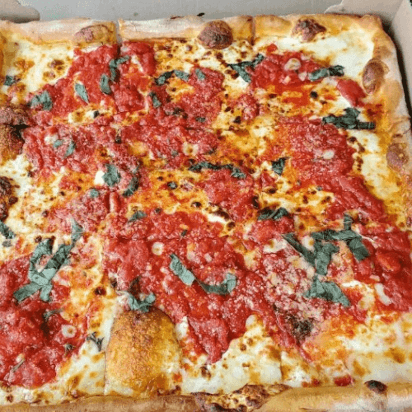 Fresh, Authentic Italian Food Served Daily 