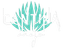 Cantina Añejo